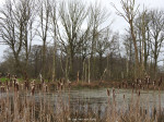 Zunasche heide